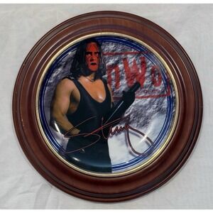 NWO WCW 1998 Sting Hamilton Collection Plate Wrestling  9 inch WWF W/ COA